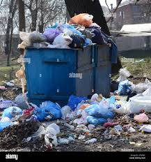 Best Recycling Services for Junk  in Newton, MS